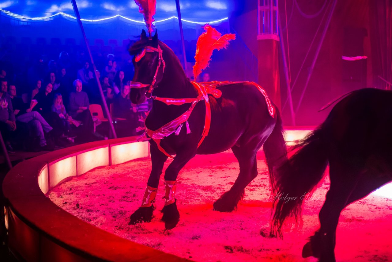 Bild 62 - Circus Europa
